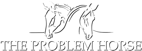 The Problem Horse
